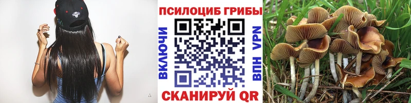 Галлюциногенные грибы MAGIC MUSHROOMS Усинск
